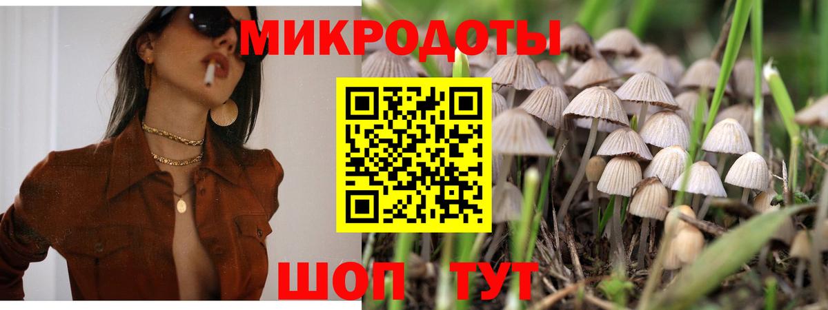Галлюциногенные грибы Psilocybe Лобня